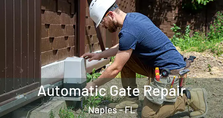 Automatic Gate Repair Naples - FL