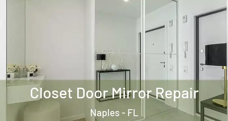 Closet Door Mirror Repair Naples - FL