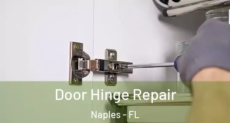 Door Hinge Repair Naples - FL
