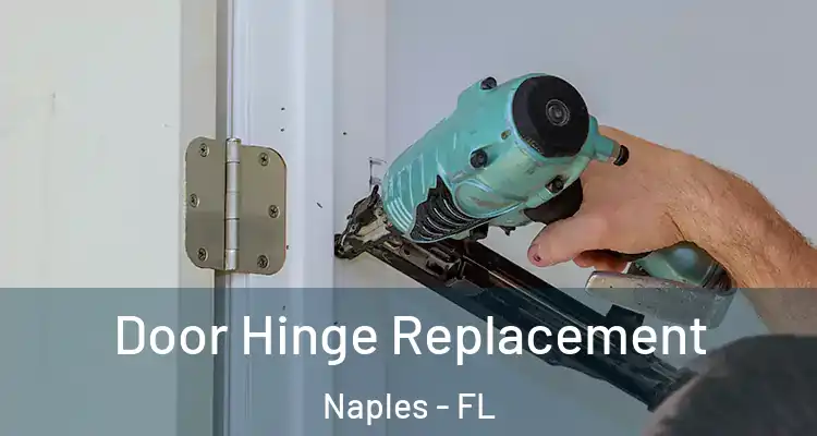 Door Hinge Replacement Naples - FL