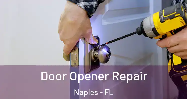 Door Opener Repair Naples - FL