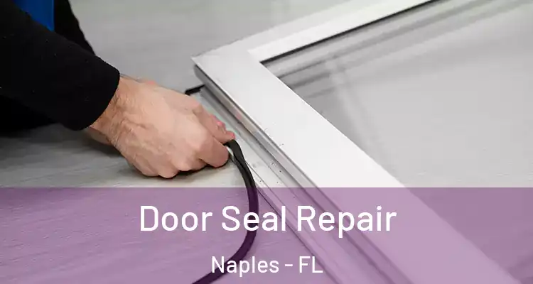 Door Seal Repair Naples - FL