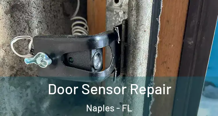 Door Sensor Repair Naples - FL