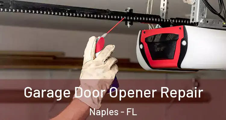 Garage Door Opener Repair Naples - FL