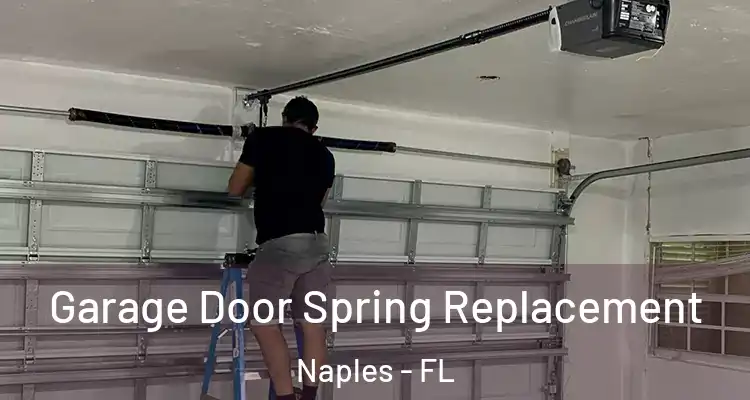Garage Door Spring Replacement Naples - FL