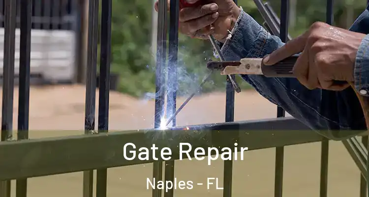 Gate Repair Naples - FL