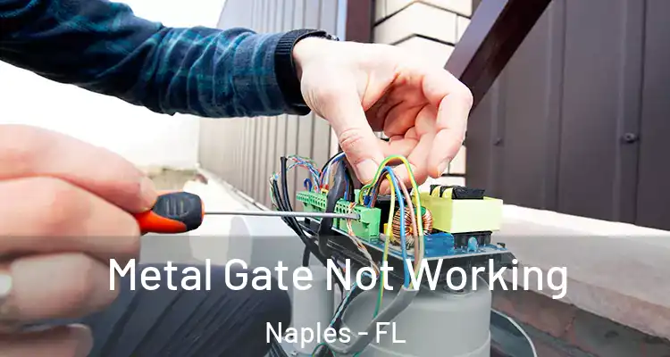 Metal Gate Not Working Naples - FL