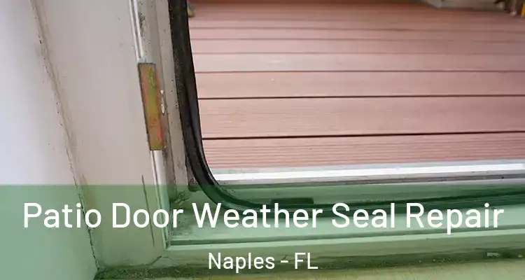 Patio Door Weather Seal Repair Naples - FL