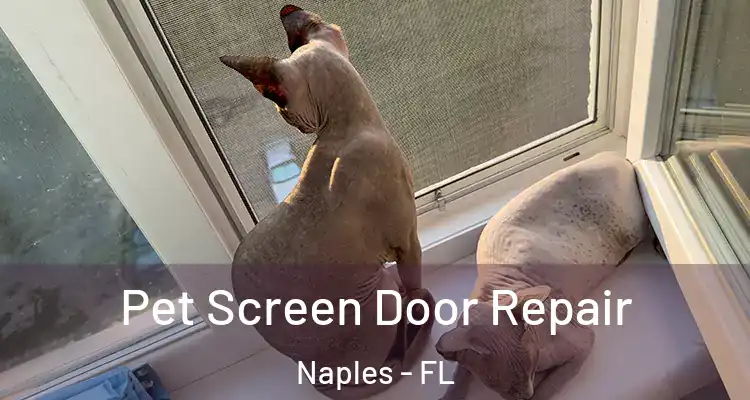 Pet Screen Door Repair Naples - FL