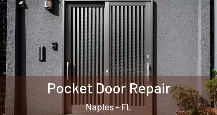 Pocket Door Repair Naples - FL