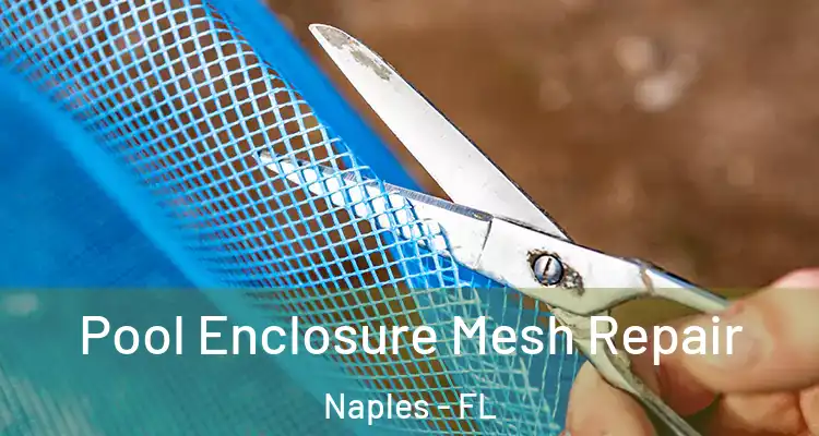 Pool Enclosure Mesh Repair Naples - FL