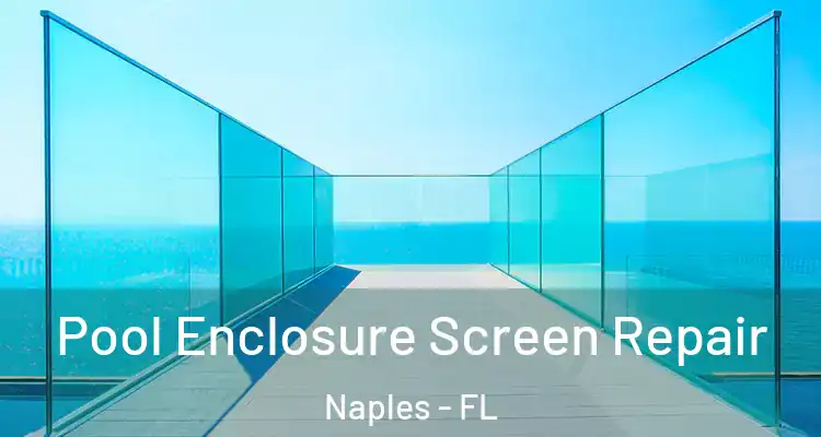 Pool Enclosure Screen Repair Naples - FL