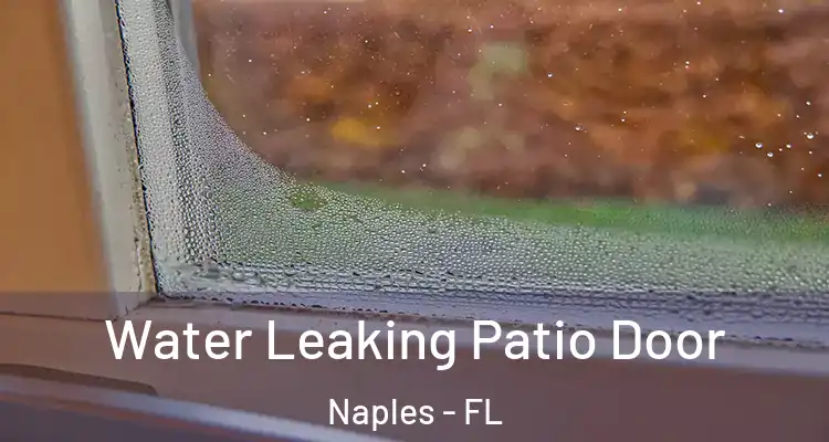 Water Leaking Patio Door Naples - FL