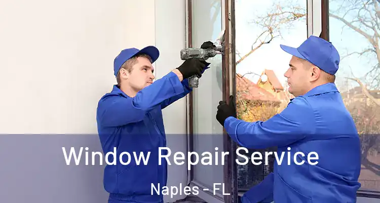 Window Repair Service Naples - FL